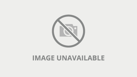 Rimmed Ladyboy Rides Dick